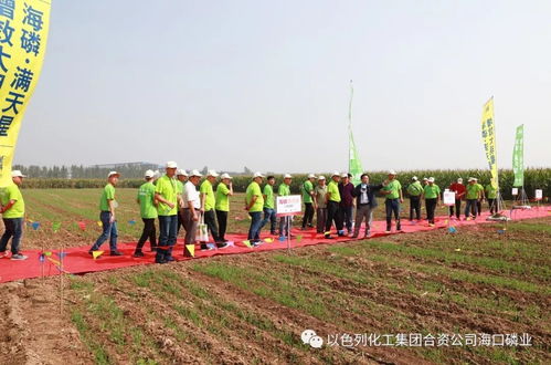 推广新产品，推动新技术 技术推广的全面策略